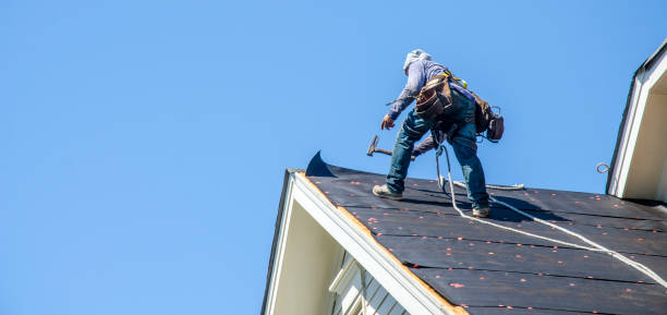 Best Storm Damage Roof Repair  in Milford, IN